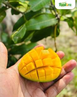 হিমসাগর আম